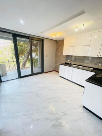 2-bedroom-apartment-for-rent-in-kingsland-city-big-2