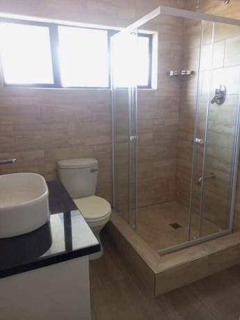 4-bedroom-duplex-apartment-for-rent-in-meanwood-ibex-big-5