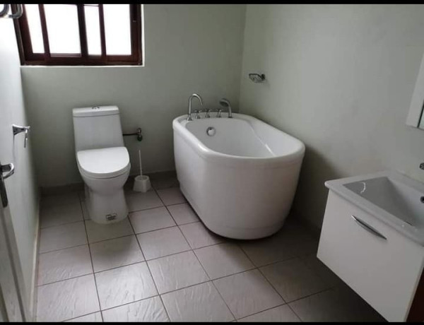 2-bedroom-fully-furnished-apartment-for-rent-in-new-kasama-big-3