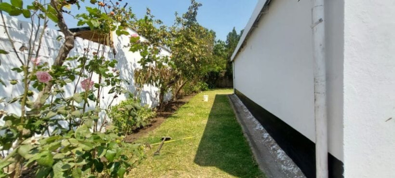 3-bedroom-house-for-rent-in-longacres-big-6