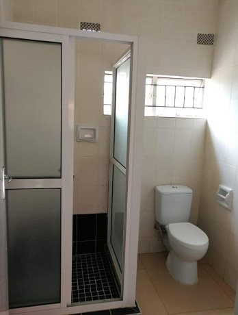 3-bedroom-apartment-for-rent-in-jesmondine-big-5