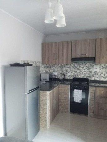 1-bedroom-apartment-for-rent-in-ibex-hill-big-2