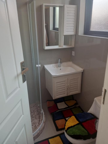 1-bedroom-fully-furnished-flat-for-rent-in-salama-park-big-4