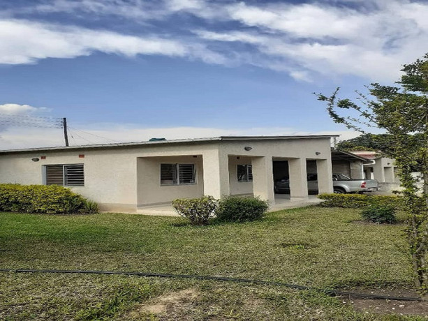 3-bedroom-house-for-rent-in-ibex-big-8