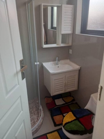 1-bedroom-flat-for-rent-in-salama-park-big-5