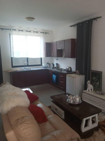 1-bedroom-flat-for-rent-in-salama-park-big-2