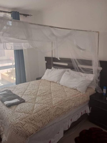 1-bedroom-flat-for-rent-in-salama-park-big-6