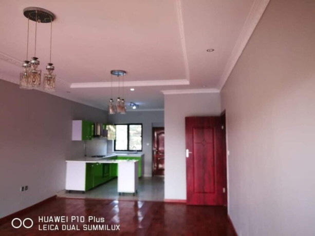 2-bedroom-flat-for-rent-in-roma-park-big-3