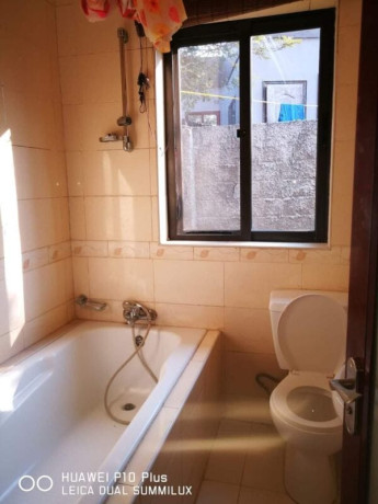 2-bedroom-flat-for-rent-in-roma-park-big-2