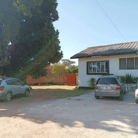 2-bedroom-commercial-house-for-rent-in-longacres-big-1