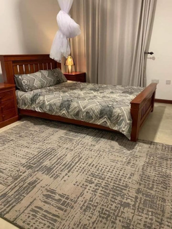 3-bedroom-furnished-apartment-for-rent-in-chudleigh-big-3