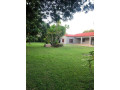 4-bedroom-house-for-rent-in-new-kasama-small-0