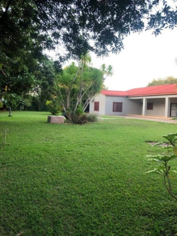 4-bedroom-house-for-rent-in-new-kasama-big-0