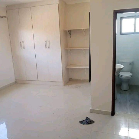 2-bedroom-flat-for-rent-in-makeni-bonaventure-big-3