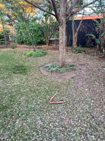 3-bedroom-house-for-rent-in-ibex-hill-big-5