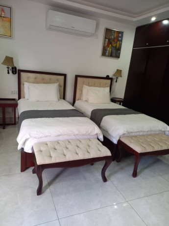 1-bedroom-fully-furnished-apartment-for-rent-big-2