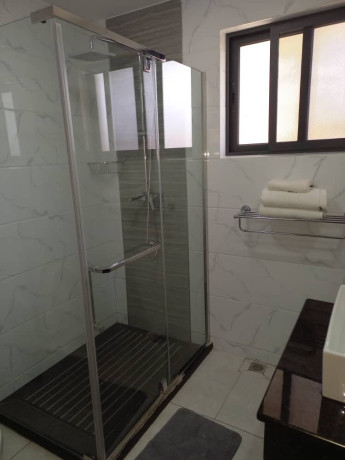 1-bedroom-fully-furnished-apartment-for-rent-big-4