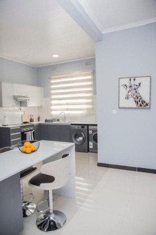 4-bedroom-furnished-house-for-rent-in-silver-gardens-big-1