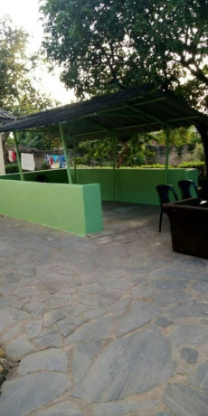 4-bedroom-standalone-house-for-rent-in-olympia-big-7