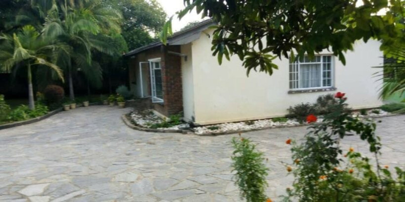 4-bedroom-standalone-house-for-rent-in-olympia-big-8