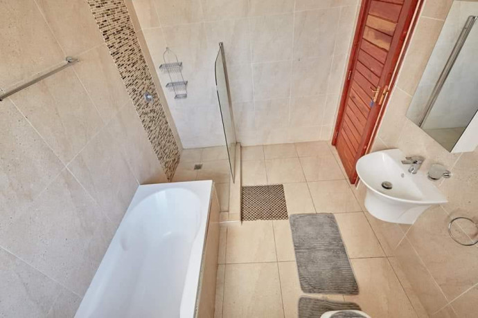 3-bedroom-apartment-for-rent-in-roma-park-big-6