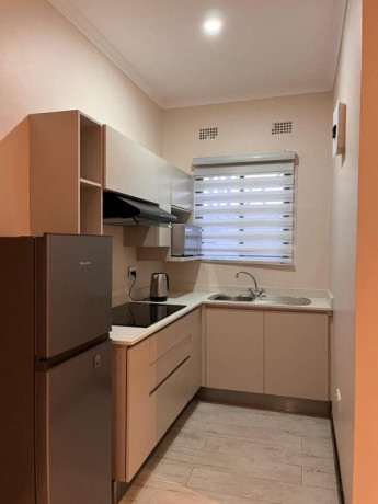 1-bedroom-fully-furnished-flat-for-rent-big-2