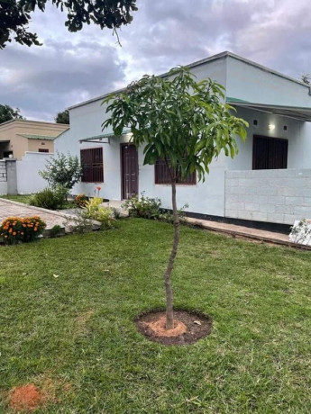 3-bedroom-house-for-rent-in-ibex-hill-big-7