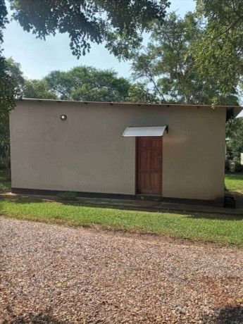 bedsitter-for-rent-in-new-kasama-big-7