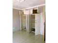 2-bedroom-flat-for-rent-in-chalala-small-6