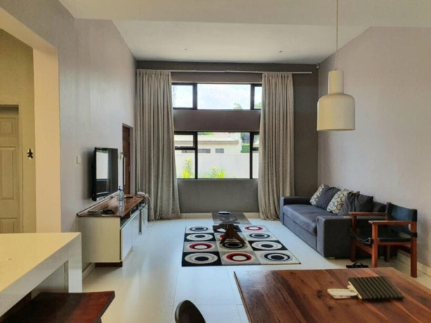 2-bedroom-fully-furnished-apartment-for-rent-in-kabulonga-big-1