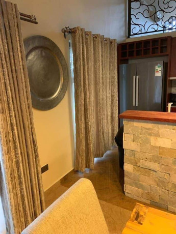 2-bedroom-fully-furnished-apartment-for-rent-in-chudleigh-big-7