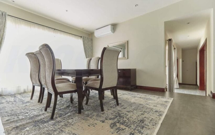 4-bedroom-fully-furnished-apartment-in-roma-big-4