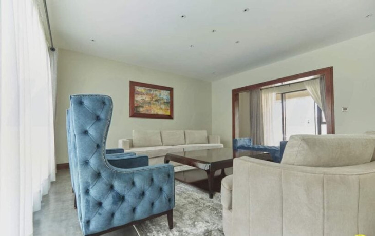 4-bedroom-fully-furnished-apartment-in-roma-big-2