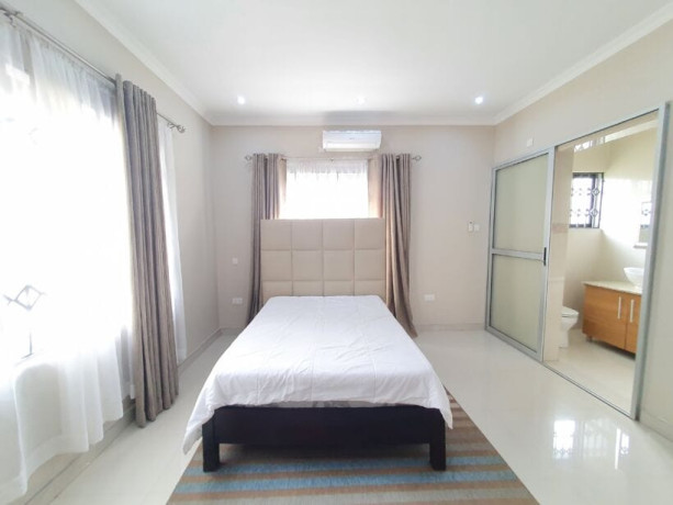 2-bedroom-fully-furnished-apartment-for-rent-in-roma-big-9