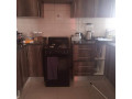 1-bedroom-flat-for-rent-in-salama-park-small-7
