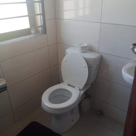 1-bedroom-flat-for-rent-in-salama-park-big-6