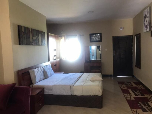 1-bedroom-furnished-flat-for-rent-in-lilayi-big-3