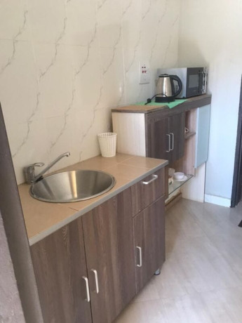 1-bedroom-furnished-flat-for-rent-in-lilayi-big-1