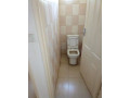 3-bedroom-standalone-house-for-rent-in-roma-small-9