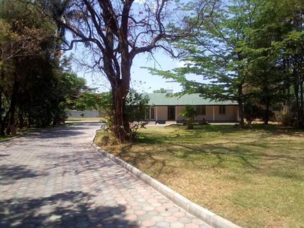 3-bedroom-standalone-house-for-rent-in-roma-big-5