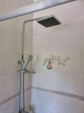 2-bedroom-house-for-rent-in-roma-park-big-0