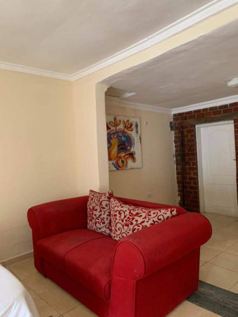 fully-furnished-apartments-for-rent-big-6