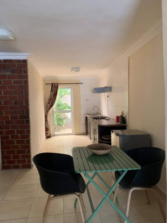 fully-furnished-apartments-for-rent-big-0