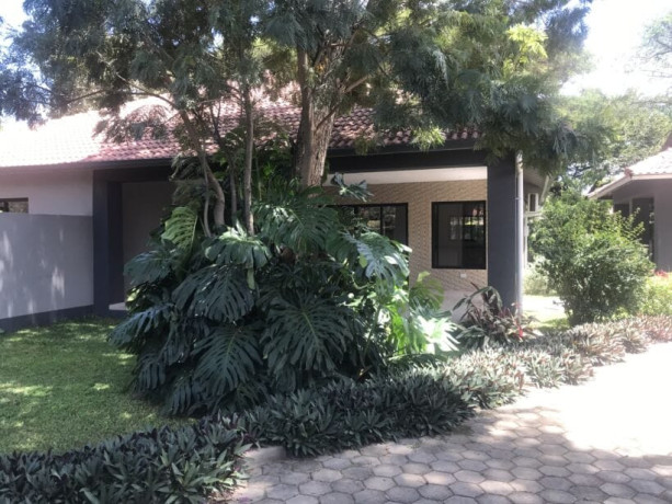 2-bedroom-house-for-rent-in-lilayi-big-1