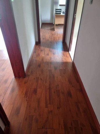 2-bedroom-flat-for-rent-in-roma-park-big-2