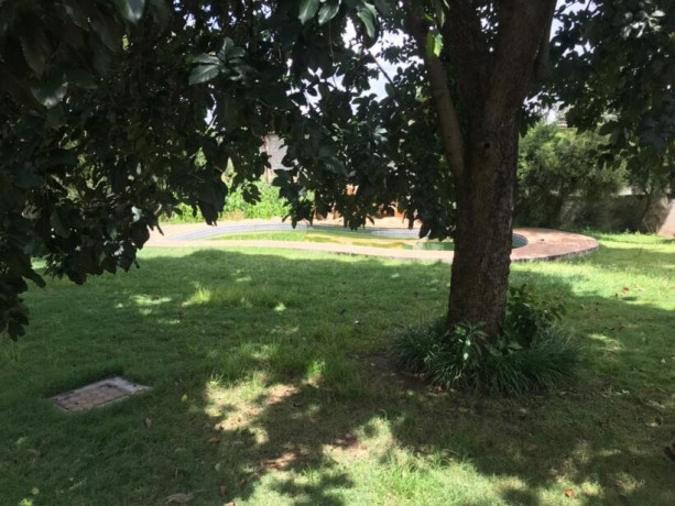 property-for-rent-in-olympia-park-big-5