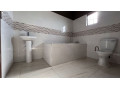 3-bedroom-standalone-house-for-rent-in-lilayi-small-3