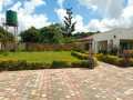 4-bedroom-house-for-rent-in-avondale-small-6