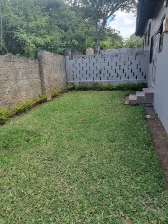 2-bedroom-flat-for-rent-in-roma-park-big-2