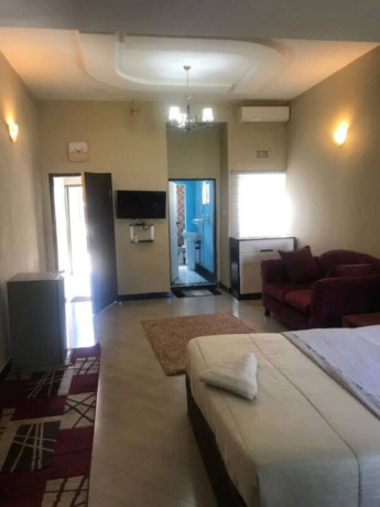 1-bedroom-fully-furnished-apartment-for-rent-in-lilayi-big-2